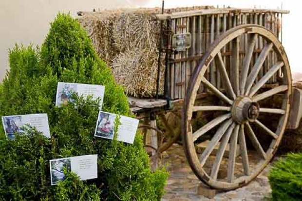 Originales ilustraciones de boda