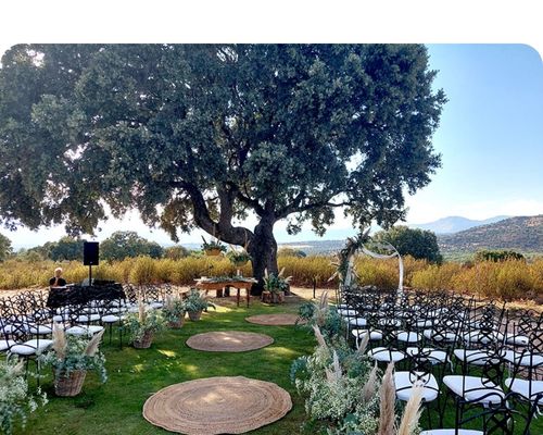 El hormigal El hormigal