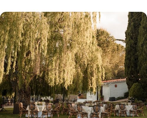 Mirador del sauce Mirador del sauce